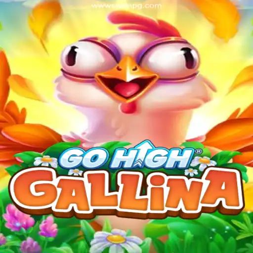 Unveiling GoHighGallina: The Exciting New Casino Game Taking Brazil by Storm
